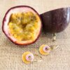 pendiente-ceramica-fruta-pasion